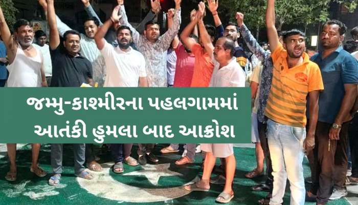 પહેલગામ આતંકી હુમલાના પડધા ગુજરાતમાં પડ્યા! અડધીરાત્રે આણંદમાં અનોખી રીતે કર્યા વિરોધ