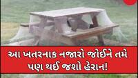 પહેલી નજરમાં લાગશે બરફની ચાદર,પરંતુ આ વાસ્તવિકતા ડરાવી દેશે;આંખો પર નહીં આવે વિશ્વાસ