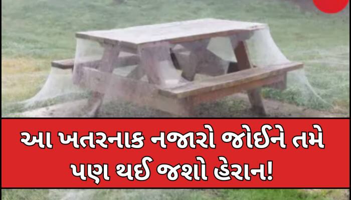 પહેલી નજરમાં લાગશે બરફની ચાદર,પરંતુ આ વાસ્તવિકતા ડરાવી દેશે;આંખો પર નહીં આવે વિશ્વાસ