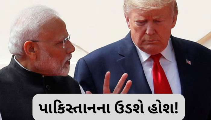 પહલગામ હુમલા બાદ અમેરિકા પણ આકરા પાણીએ, ભારતના સમર્થનમાં આપ્યું મોટું નિવેદન