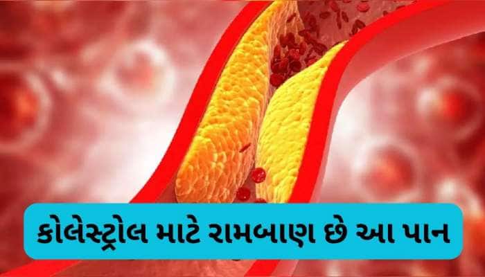 આ સસ્તા લીલા પાંદડાથી કોલેસ્ટ્રોલ થઈ જશે કંટ્રોલ, જાણો કઈ રીતે કરશો સેવન