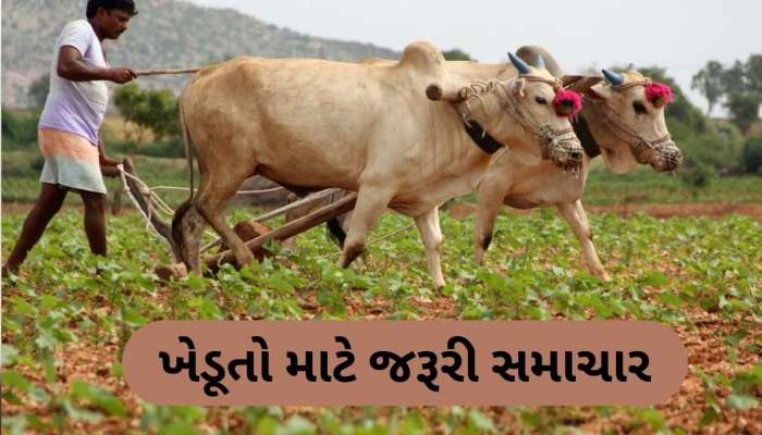  ખેડૂતોને આ કામ માટે સરકાર આપશે સહાય, 31 મે સુધી કરો અરજી, જાણો સંપૂર્ણ વિગત