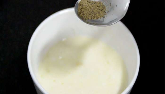 Curd for Weight Loss: દહીંમાં આ 2 વસ્તુ મિક્સ કરી રોજ ખાવા લાગો, શરીરમાં જામેલું વધારાનું ફેટ ઝડપથી ઓછું થશે