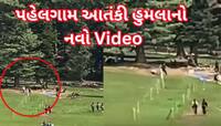 Video: પહેલગામ આતંકી હુમલાનો નવો Video આવ્યો સામે, જંગલમાંથી આવ્યા અને...