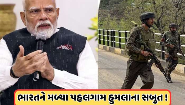 પહલગામ હુમલામાં પાકિસ્તાનનો સીધો હાથ, ભારતે રજૂ કર્યા ઠોસ સબુત! આ દેશોએ કર્યું ભારતનું સમર્થન