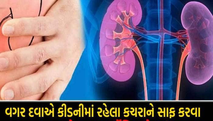 કિડનીની અંદર ચોટેલી ગંદકીને સાફ કરે છે આ 4 જ્યુસ, ખાલી પેટે પીશો તો પથરી છૂમંતર!