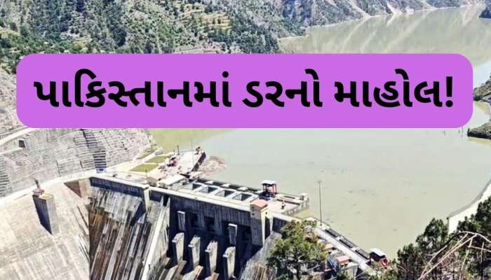 અમે ભૂખે મરી જઈશું', સિંધુ જળ સંધિ સમાપ્ત થવાથી રડી રહ્યું છે પાકિસ્તાન