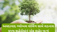 અમદાવાદ બન્યું લીલુંછમ! છેલ્લાં ત્રણ વર્ષમાં 70 લાખથી વધુ વૃક્ષોનું વૃક્ષોરોપણ