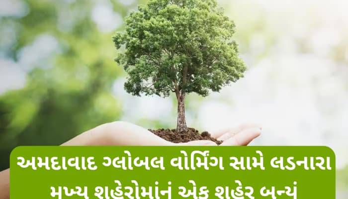 અમદાવાદ બન્યું લીલુંછમ! છેલ્લાં ત્રણ વર્ષમાં 70 લાખથી વધુ વૃક્ષોનું વૃક્ષોરોપણ
