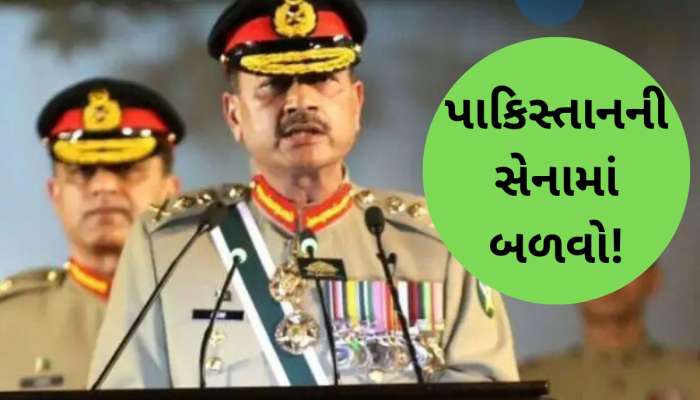 PAK સેનાધ્યક્ષની ગેમ ઓવર! આર્મી ઓફિસરોના ધડાધડ રાજીનામા પડતા પાક. સેનામાં હડકંપ