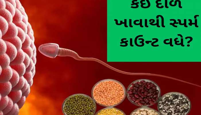 Sperm Count: સ્પર્મ કાઉન્ટ વધારવા માટે કઈ દાળ ખાવી જોઈએ? આ દાળમાં હોય છે કામોત્તેજક ગુણો, થાય છે મદદરૂપ