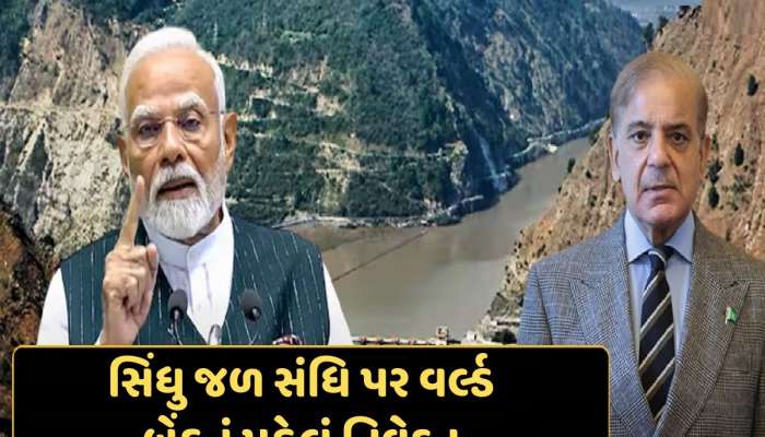 સિંધુ જળ સંધિ પર વર્લ્ડ બેંકની ધમકી આપતું હતું પાકિસ્તાન, હવે આવ્યું વર્લ્ડ બેંકનું પહેલું નિવેદન