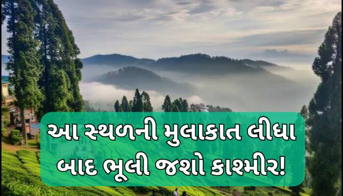 કાશ્મીરને પણ ટક્કર આપે છે લદ્દાખની આ જગ્યાઓ, મે મહિનાની ગરમીમાં પણ મળશે ડિસેમ્બર મજા