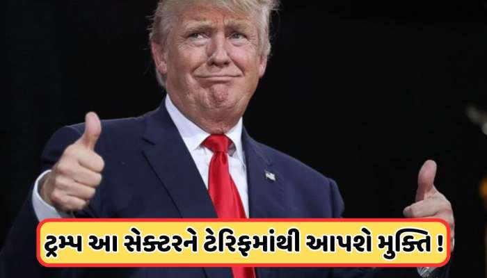 ટ્રમ્પ ટેરિફથી આ સેક્ટરને મળશે રાહત! ભારતીય કંપનીઓના આ શેર બન્યા રોકેટ 