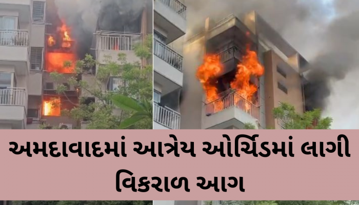 અમદાવાદમાં ફરી આગની ઘટના આવી સામે, આત્રેય ઓર્ચિડમાં આગ લાગતા 25થી વધુ લોકોનું રેસ્ક્યુ; 5ને હોસ્પિટલ ખસેડાયા