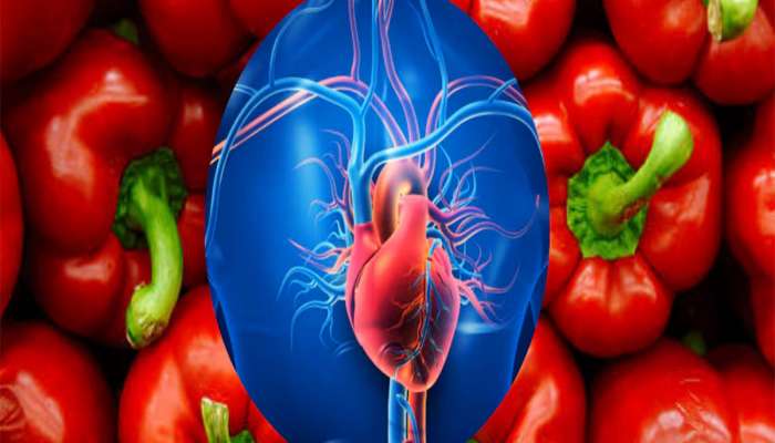 Healthy Heart: આહારમાં સામેલ કરો આ 5 વસ્તુઓ, હૃદયના રોગ થવાનું જોખમ અડધું થઈ જશે