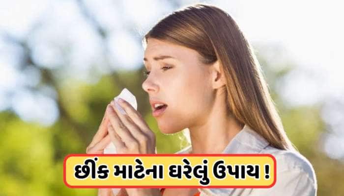 Health Tips: ઉનાળામાં છીંક આવવી કયા રોગના સંકેત? આ ઘરેલું ઉપાયથી મળશે રાહત 