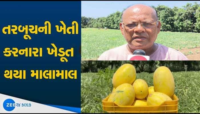 અન્ય ખેડૂતો હિંમત હાર્યા, પણ પાટીદાર ખેડૂતે કરી બતાવ્યું! કરી ખાસ તરબૂચની ખેતી