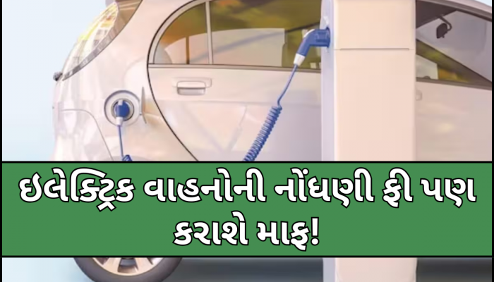 નવી EV પોલિસીને મળી મંજૂરી, 15 ટકા સબસિડીની સાથે ઘણા હાઈવે ટોલ Free! 25KMના અંદરે મળશે ચાર્જિગની સુવિધા