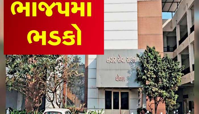 ધોળકા નગરપાલિકામાં રાજકીય હડકંપ, ભાજપના 12 કાઉન્સિલરોએ એકસાથે રાજીનામા આપ્યા 