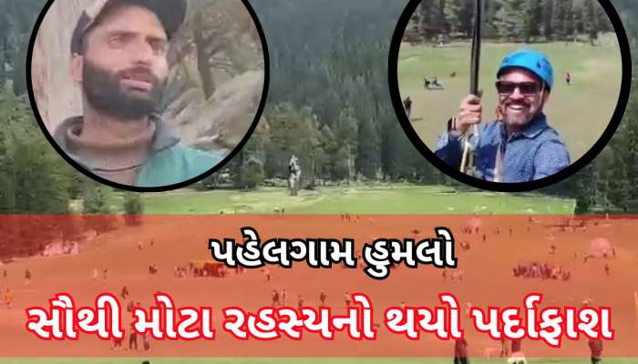 Pahalgam Attack: પહેલગામ હુમલા પર અત્યાર સુધીનો સૌથી મોટો ખુલાસો, જાણો આતંકીઓએ કઈ રીતે આપ્યો ઘટનાને અંજામ?