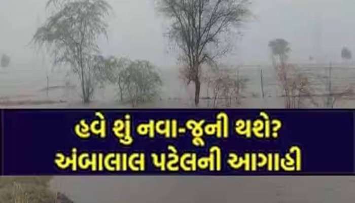 કાલે સક્રિય થશે સિસ્ટમ: ઉ.ગુજરાત, કચ્છ-સૌરાષ્ટ્રના આ વિસ્તારોમાં ગાજવીજ સાથે વરસાદ