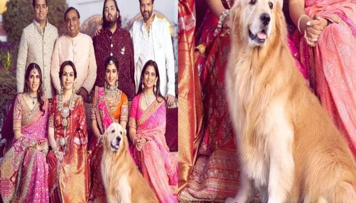 4 કરોડની ગાડીમા ફરતો અંબાણી પરિવારના જિગરનો ટુકડો હવે નથી રહ્યો