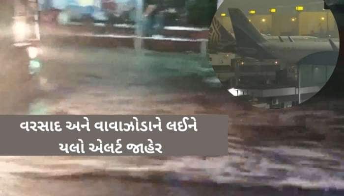 40 ફ્લાઈટ્સ ડાયવર્ટ, 100 લેટ...80 કિ.મીની ઝડપે ફૂંકાયું વાવાઝોડું, આ વિસ્તારોમાં....