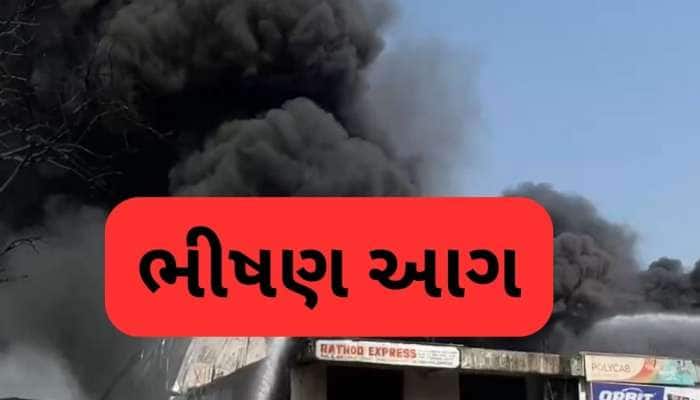 Photos: અમદાવાદના વટવામાં લાગી ભીષણ આગ, મેજર કોલ જાહેર, 19થી વધુ ફાયરની ગાડીઓ પહોંચી