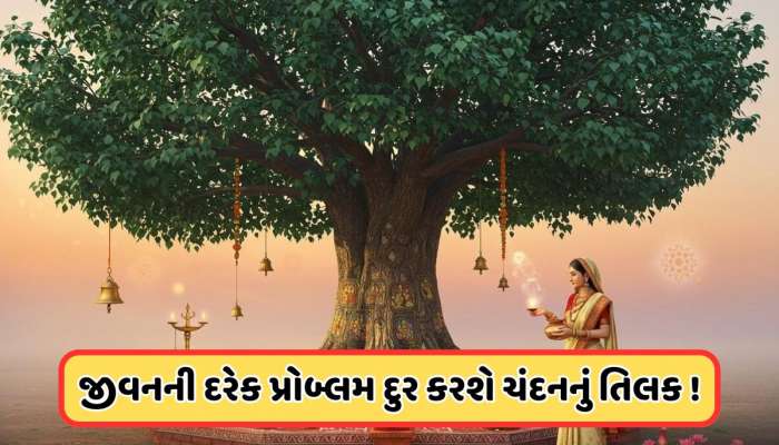 આ છોડ પર લગાવો ચંદનનું તિલક, મોટી મોટી સમસ્યાઓ પણ થઈ જશે દૂર !