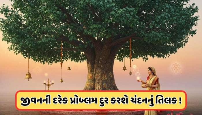 આ છોડ પર લગાવો ચંદનનું તિલક, મોટી મોટી સમસ્યાઓ પણ થઈ જશે દૂર !