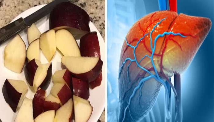 Health Tips: લિવરને નેચરલી ડિટોક્સ કરવું હોય તો સવારે ખાલી પેટ ખાવું આ ફળ, હેલ્ધી રહેશે લિવર