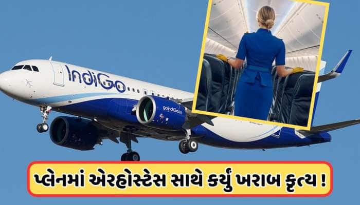 પ્લેનમાં એરહોસ્ટેસને બે વાર અયોગ્ય રીતે કર્યું ટચ, કરતો હતો ખરાબ ઈસારા, જાણો