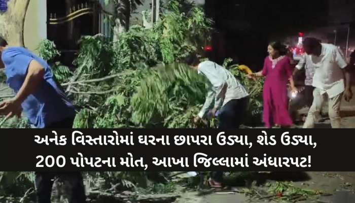 આ જિલ્લામાં પ્રચંડ વંટોળની વિનાશક અસર; 8 ગામોમાં 15થી વધુ ઘરોમાં આગ, વૃક્ષો ધરાશાયી