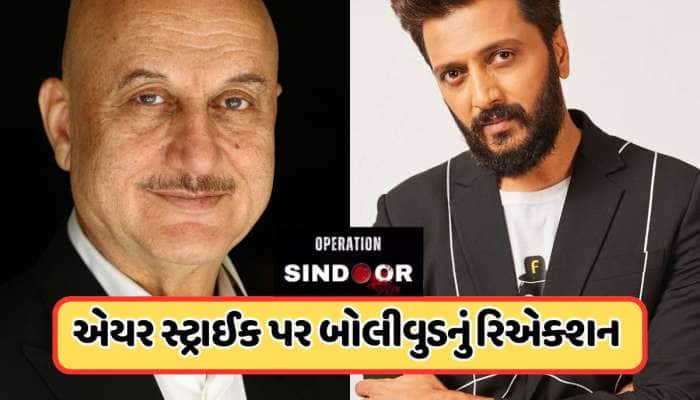 ભારતીય સેનાની એયર સ્ટ્રાઈકથી બોલિવૂડમાં ગુંજ્યો 'ભારત માતા કી જય' નો નારો, જાણો