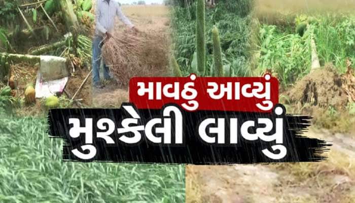 ઉનાળામાં ગુજરાતમાં આફતનો વરસાદ, માવઠાને કારણે તૈયાર પાકનો નાશ, ખેડૂતો મુશ્કેલીમાં