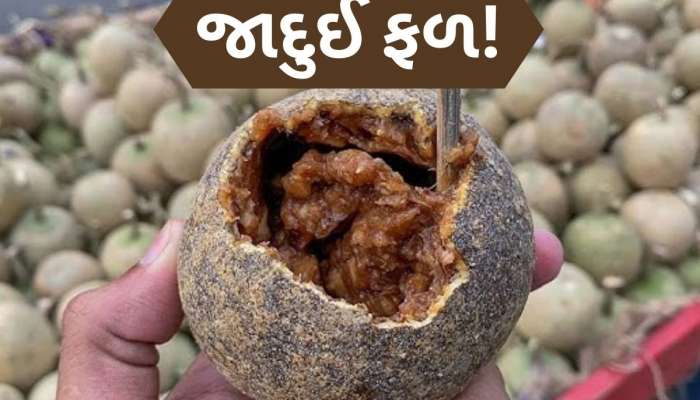 હાઈ કોલેસ્ટ્રોલ અને હરસ માટે રામબાણ છે આ 10 રૂપિયાનું દેશી ફળ, સુગરમાં પણ લાભકારક