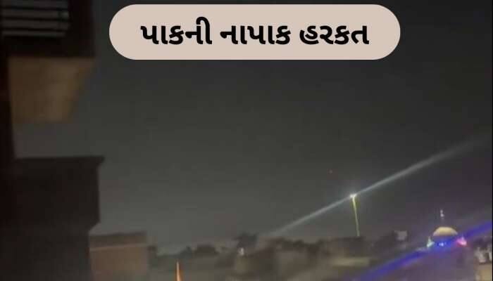 જમ્મુ-કાશ્મીર અને પંજાબમાં હુમલાનો નિષ્ફળ પ્રયાસ, LoC પર પાક કરી રહ્યું છે ગોળીબારી