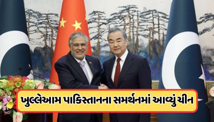સામે આવ્યો ચીનનો અસલી ચહેરો! વિદેશ મંત્રીએ કહ્યું: અમે પાકિસ્તાન સાથે ઉભા ઉભા રહીશું