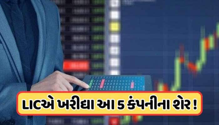 LIC એ આ 5 કંપનીઓમાં પોતાનો હિસ્સો વધાર્યો, શું તમારી પાસે તેમાંથી કોઈ પર દાવ છે?