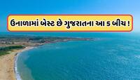 ગોવાને છોડો...! વિશ્વભરમાં પ્રખ્યાત છે ગુજરાતના આ 5 દરિયાકિનારા, ઉનાળા માટે છે બેસ્ટ