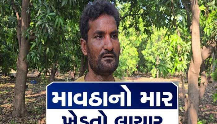 ખેડૂતની કરુણ કથા : મન થાય છે આ કેરીની વાડીમાં જ આત્મહત્યા કરી લઉં, પણ...