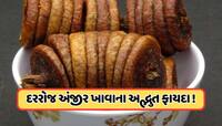 દરરોજ એક અંજીર ખાવાથી થાય છે  5 મોટા સ્વાસ્થ્ય લાભો, રોજ એક ખાવાનું કરો શરૂ !