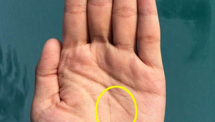 Palmistry: ભાગ્યશાળી લોકોના હાથ પર હોય છે A નું સિમ્બોલ, નસીબ ચમકી જાય છે 