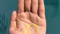 Palmistry: ભાગ્યશાળી લોકોના હાથ પર હોય છે A નું સિમ્બોલ, નસીબ ચમકી જાય છે 
