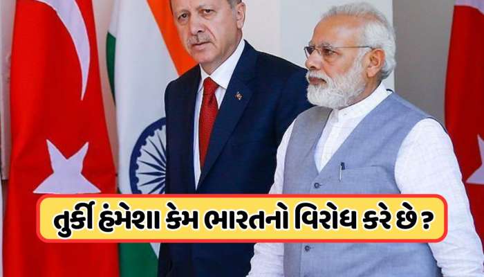 પાકિસ્તાનને સાથ આપનારા તુર્કીને ભારત સાથે છે શું સમસ્યા? કઈ વાતનો કાઢી રહ્યો છે ગુસ્સો ?