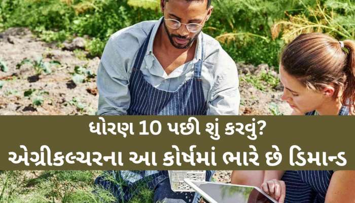 ધો. 10 પછી શું કરવું? દાંતીવાડા કૃષિ યુનિવર્સિટી ખાતે ચાલી રહ્યા છે આ કૃષિ અભ્યાસક્રમો, માર્કેટમાં ભારે ડિમાન્ડ