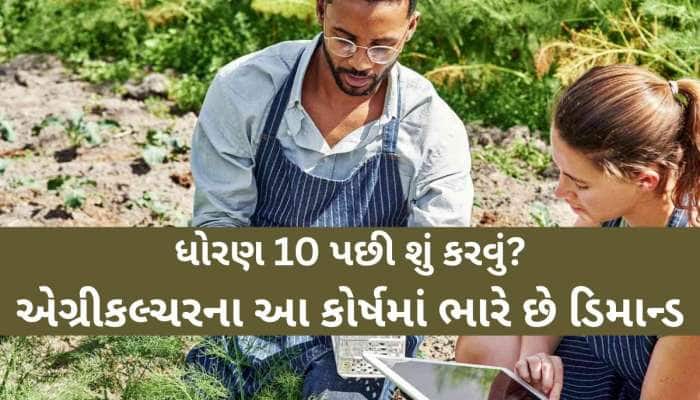 ધો. 10 પછી શું કરવું? દાંતીવાડા કૃષિ યુનિવર્સિટી ખાતે ચાલી રહ્યા છે આ અભ્યાસક્રમો...