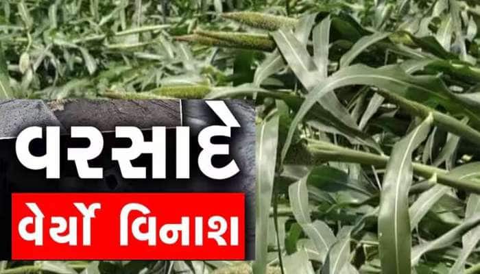 ગુજરાતમાં પ્રિ-મોન્સૂન વરસાદે વેર્યો વિનાશ; મોઢામાં આવેલો કોળિયો છીનવાયો, આ પાકોને..