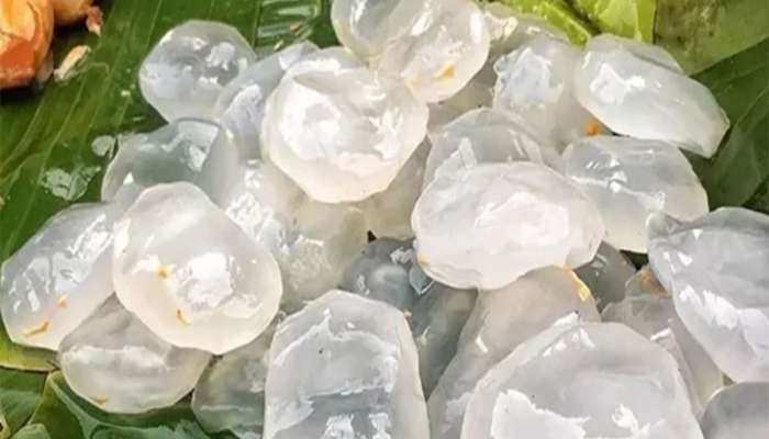 Ice Apple: શરીર માટે નેચરલ કૂલર છે ગલેલી, ગરમીમાં ખાવાથી બીમારીઓ આસપાસ ફરકશે પણ નહીં